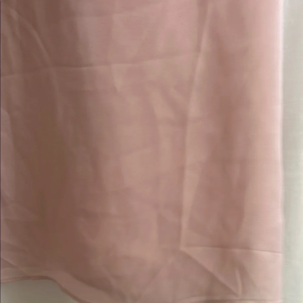 Pale Pink Sheer Women's Top by Lane Bryant - Picture 8 of 11